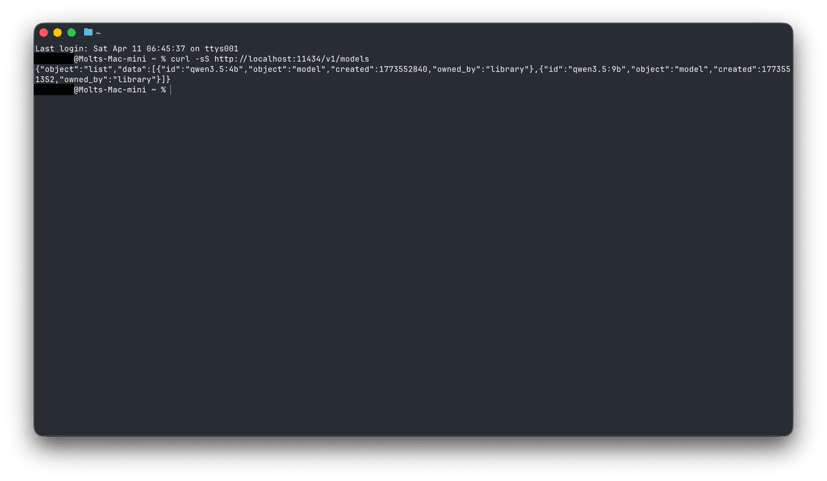 Terminal showing JSON from curl against Ollama's OpenAI-compatible /v1/models endpoint