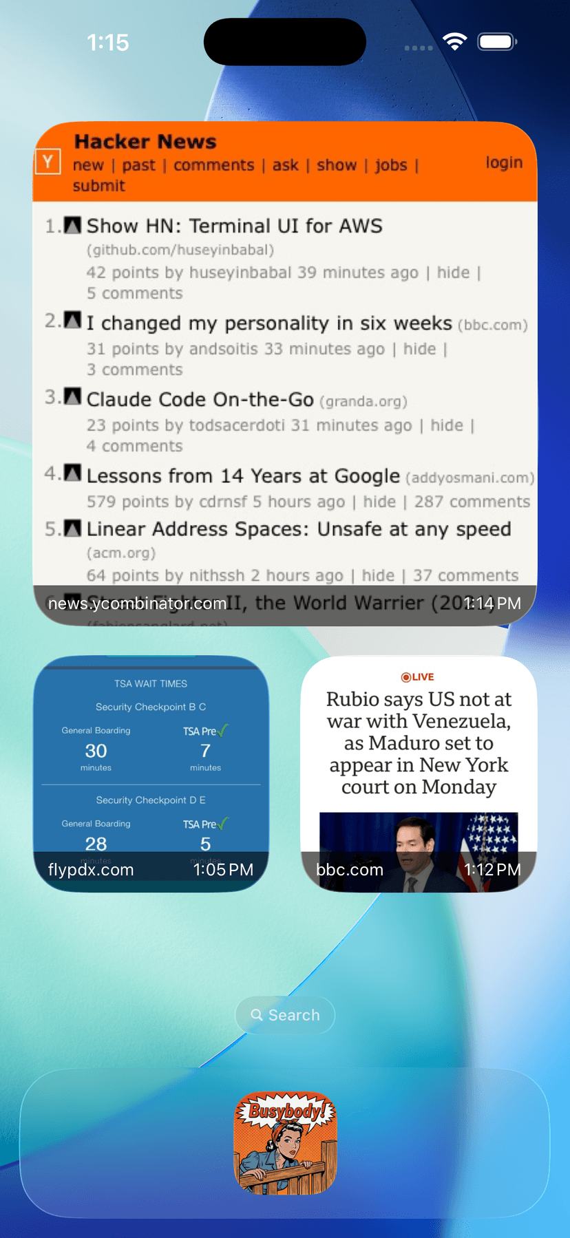 Busybody home screen widgets displaying live website captures
